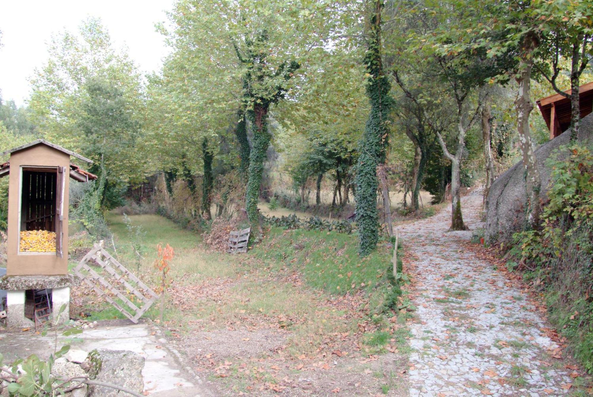 Quinta Da Veiga E Malhadoira Affittacamere Vieira do Minho Esterno foto